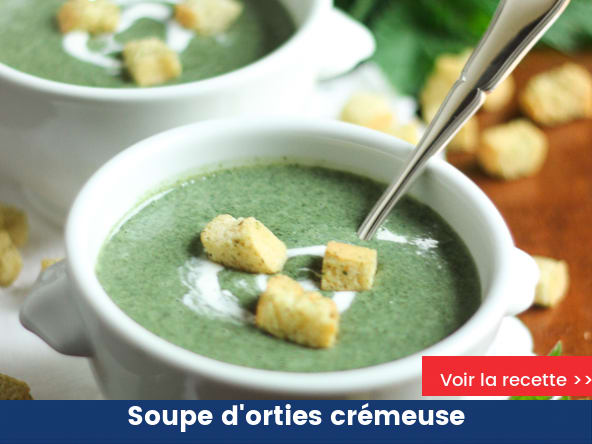 Soupe d'orties crémeuse